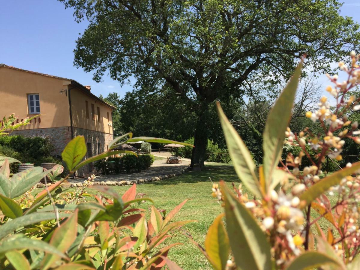 Agriturismo Pieve De Pitti Terricciola Exterior photo