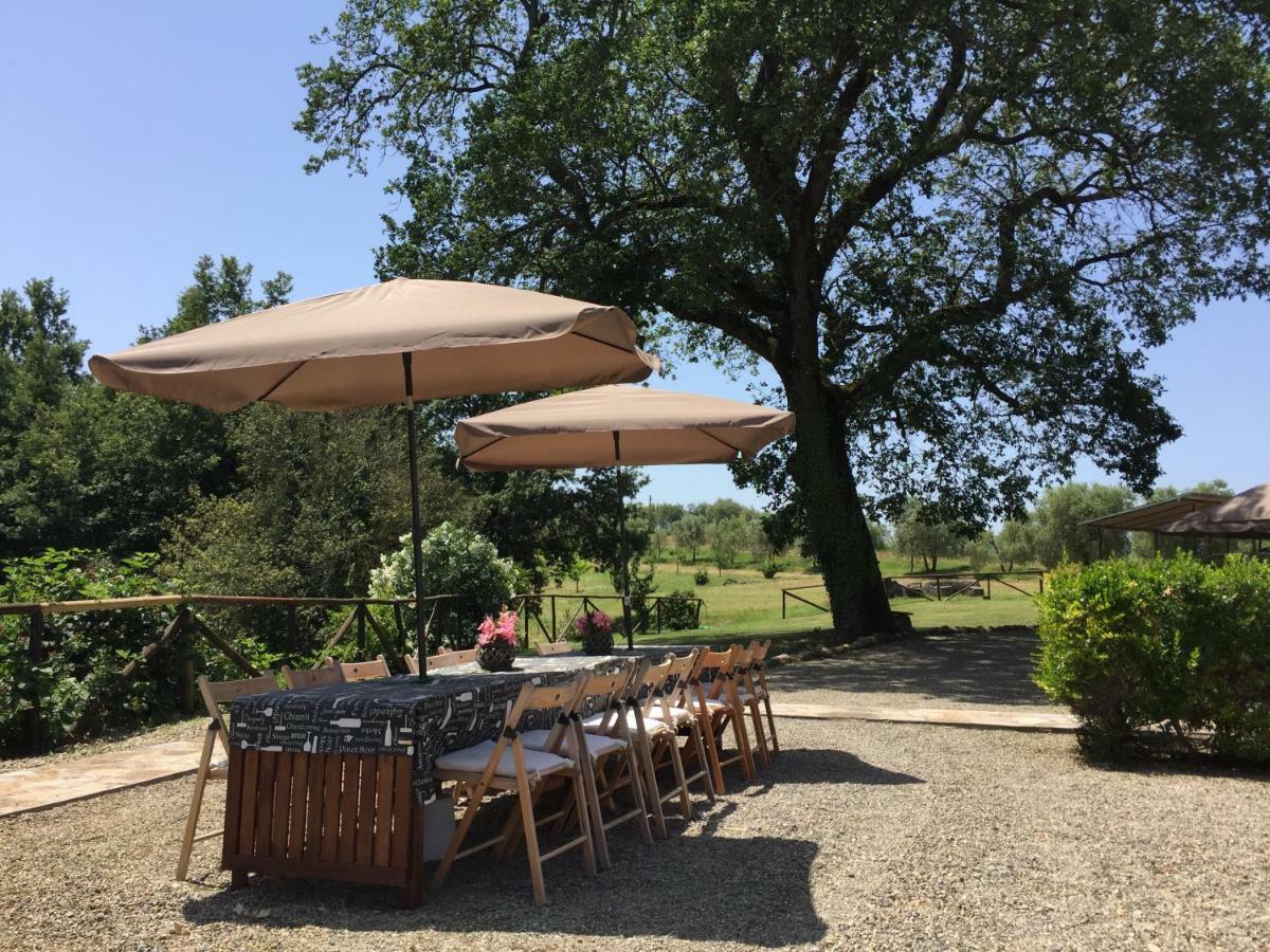 Agriturismo Pieve De Pitti Terricciola Exterior photo
